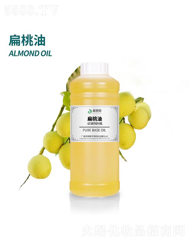 ����˹������