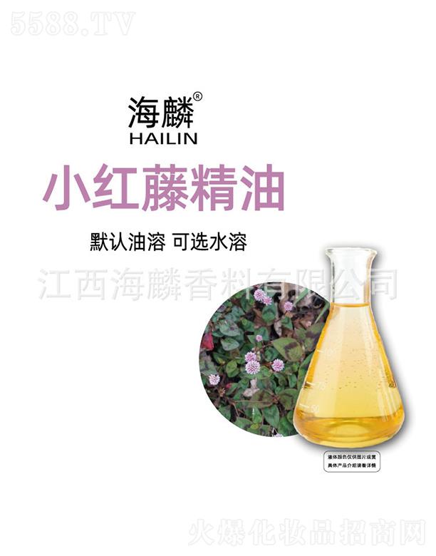 ����С�t�پ���