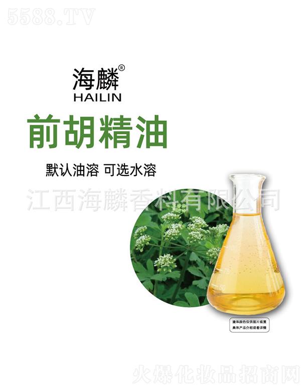 ����ǰ������