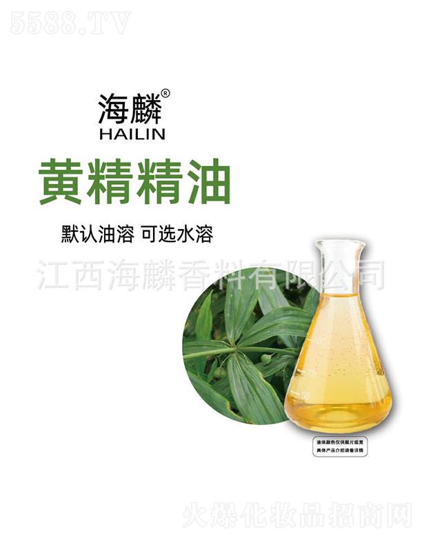 �����S������