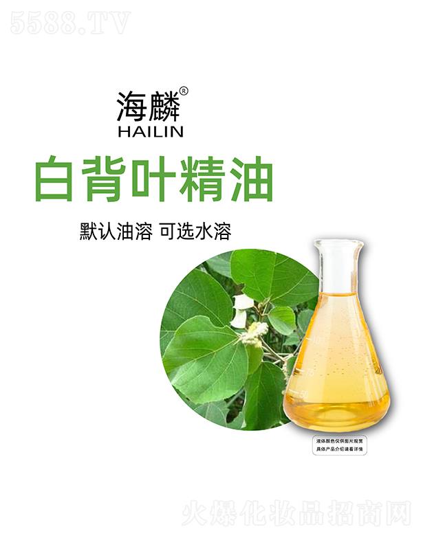 ����ױ��~����