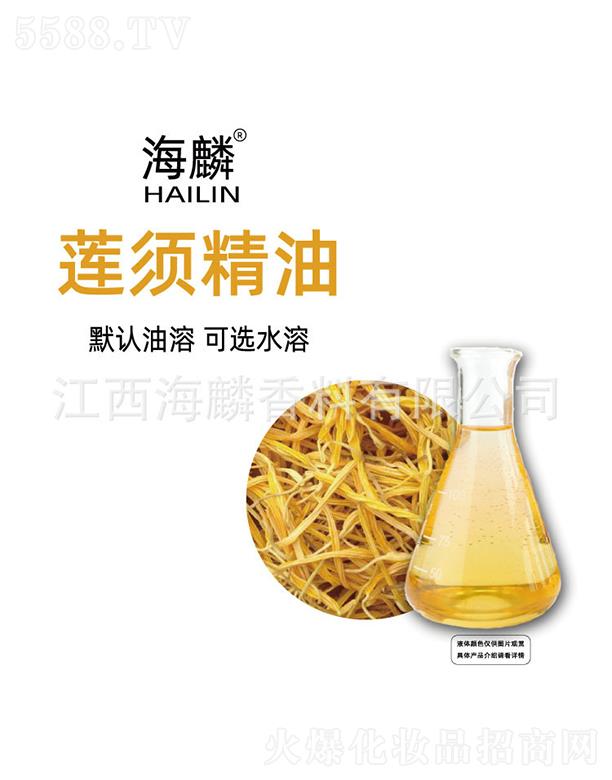 ����ɏ횾���