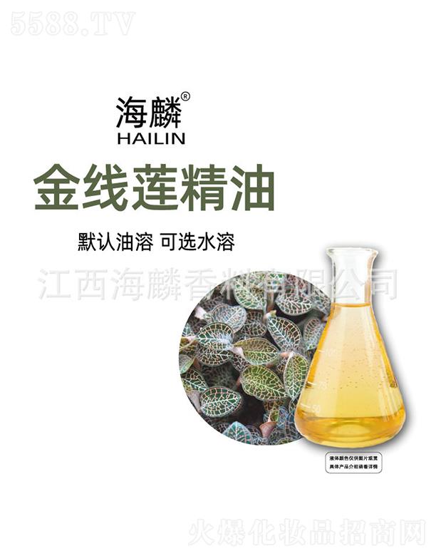 �����ɏ����