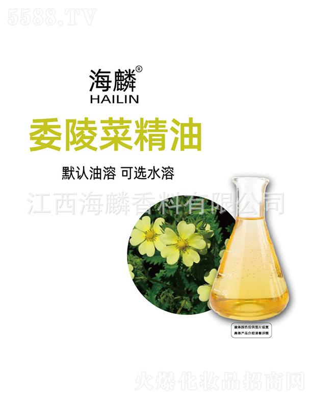 ����ί��˾���