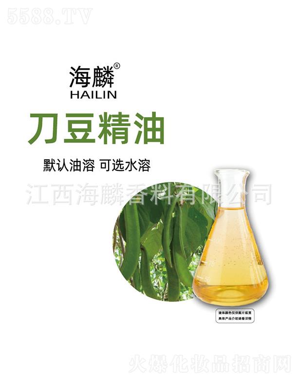 ���뵶������