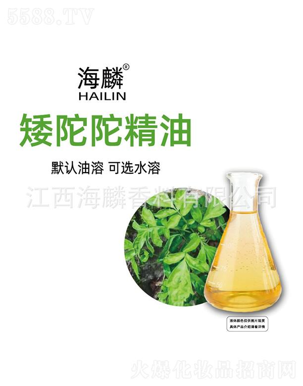 ���밫���Ӿ���