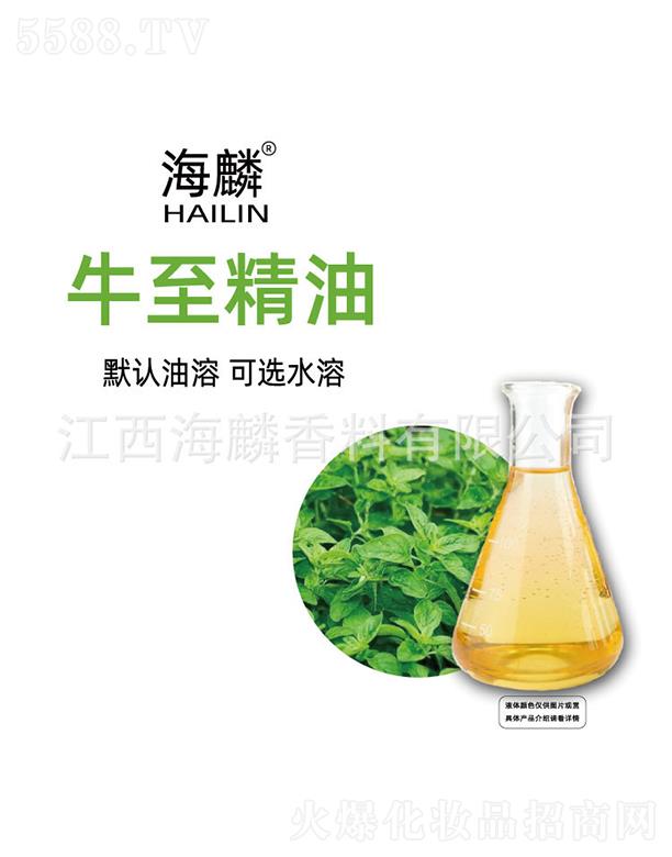 ����ţ������