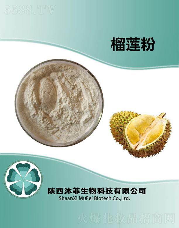 �����ɏ��