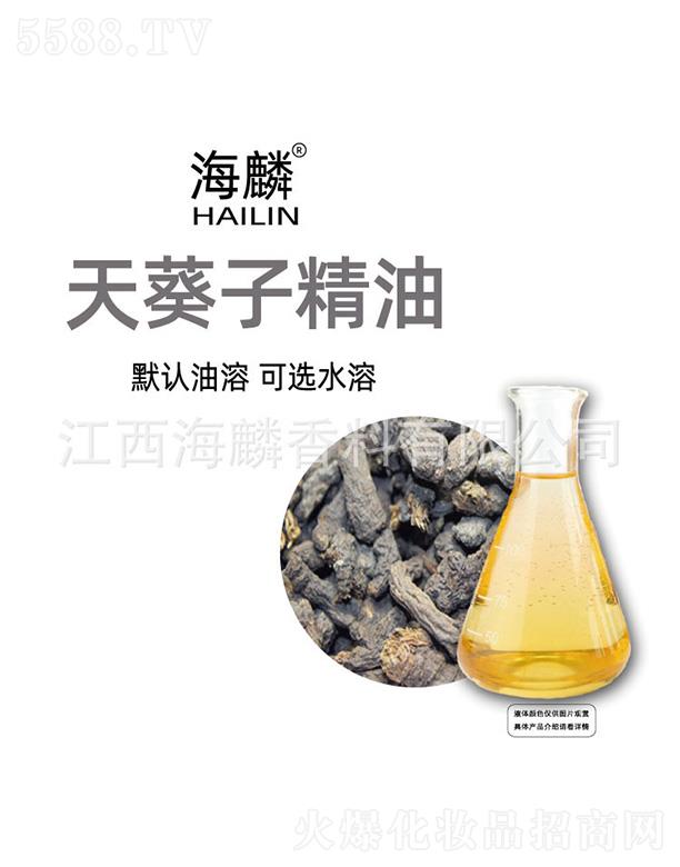 ��������Ӿ���