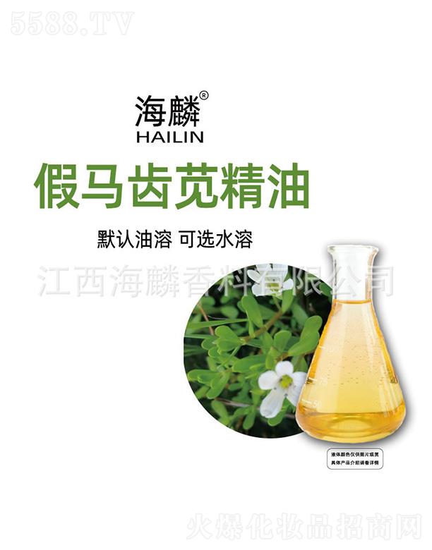 ������R�X�{����