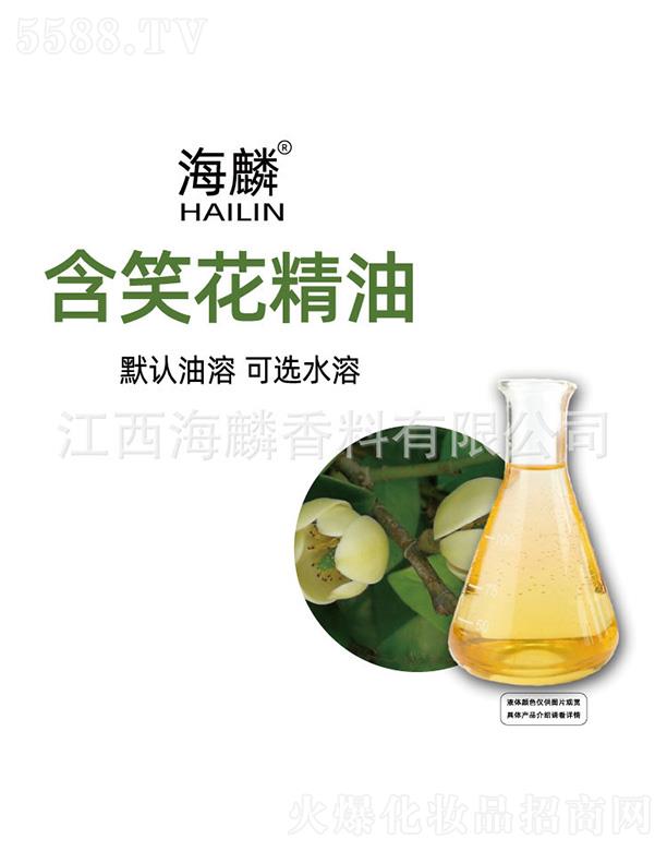 ���뺬Ц������