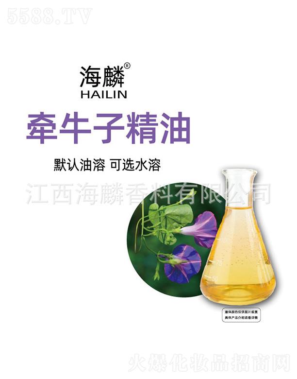 ���렿ţ�Ӿ���