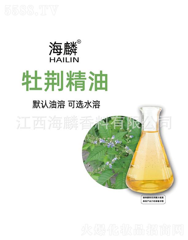 ����ĵ�G����