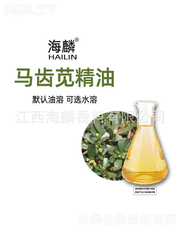 �����R�X�{����