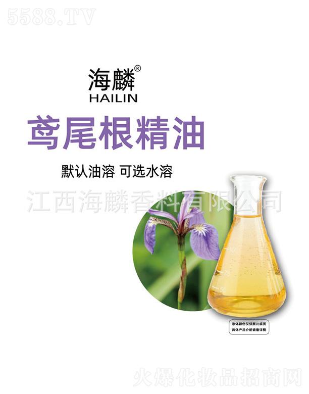 �����Sβ������