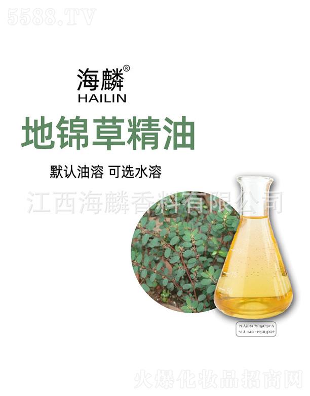 ������\�ݾ���