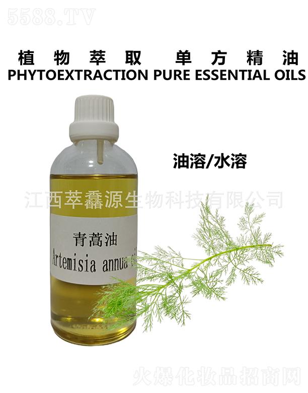 ���QԴ������