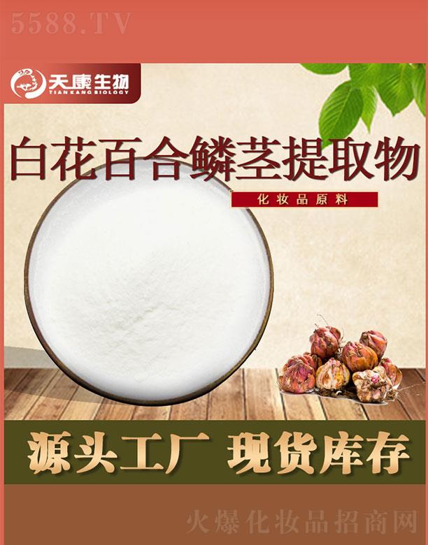 �쿵����׻��ٺ��[�o��ȡ��