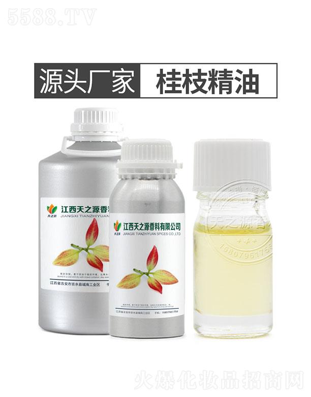 ��֮Դ��֦����