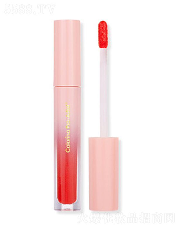 ܽ���{8ɫ����