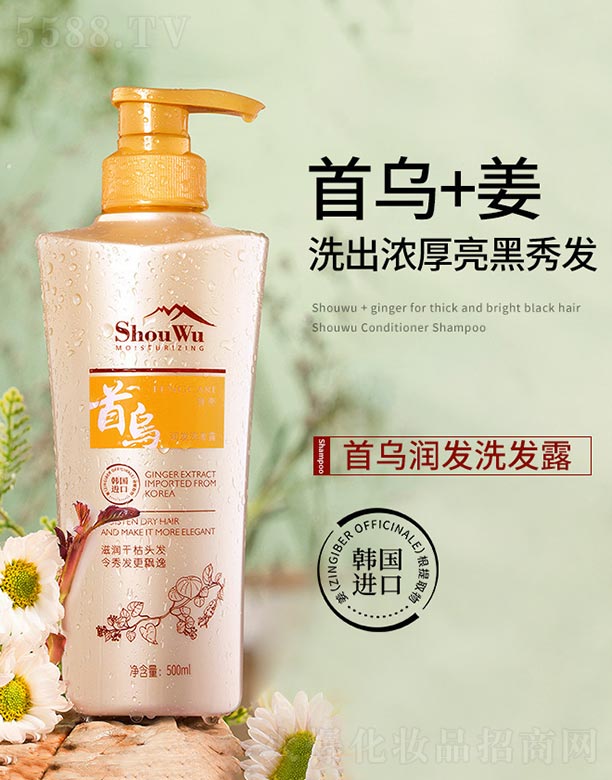 �מ���(r��n)�l(f��)ϴ�l(f��)¶