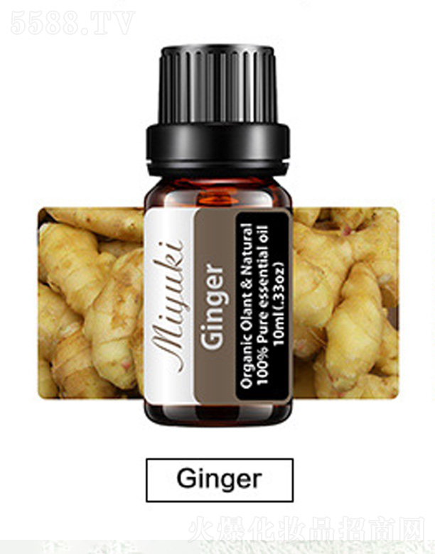 �o�w��޹��Ħ��-Ginger��