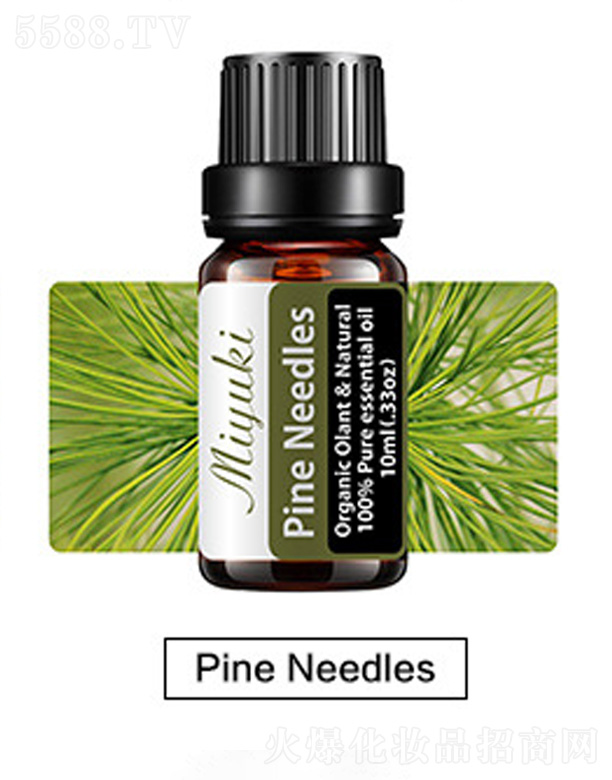�o�w��޹��Ħ��-Pine Needles���