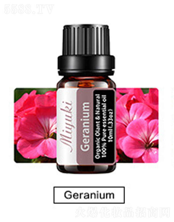 �o�w��޹��Ħ��-Geranium���ÿ�