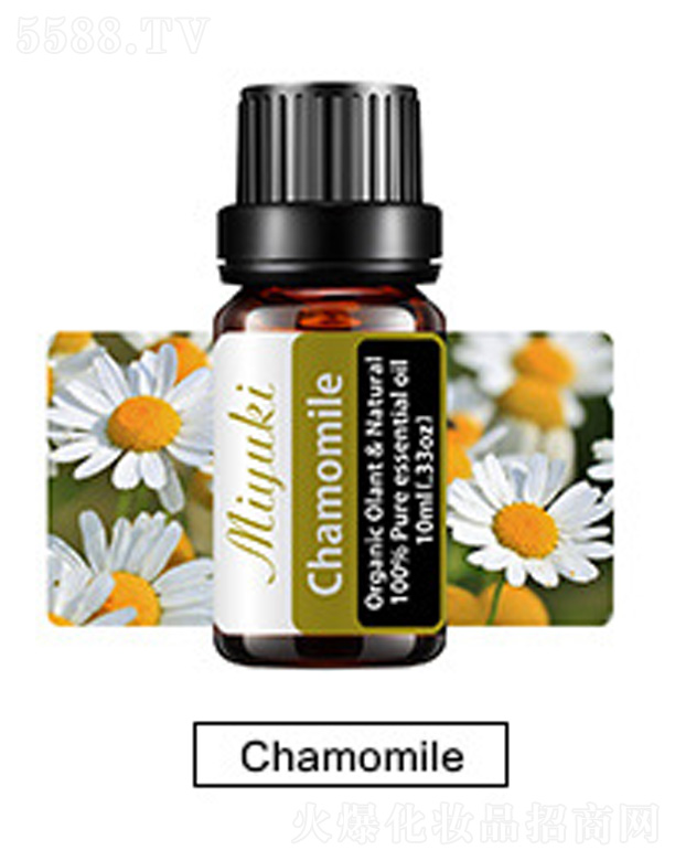 �o�w��޹��Ħ��-Chamomile�ʾ�