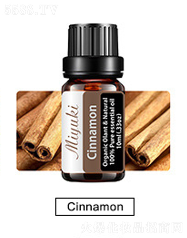 �o�w��޹��Ħ��-Cinnamon���