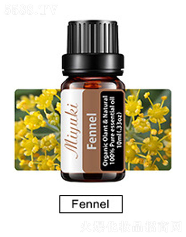 �o�w��޹��Ħ��-Fennel����