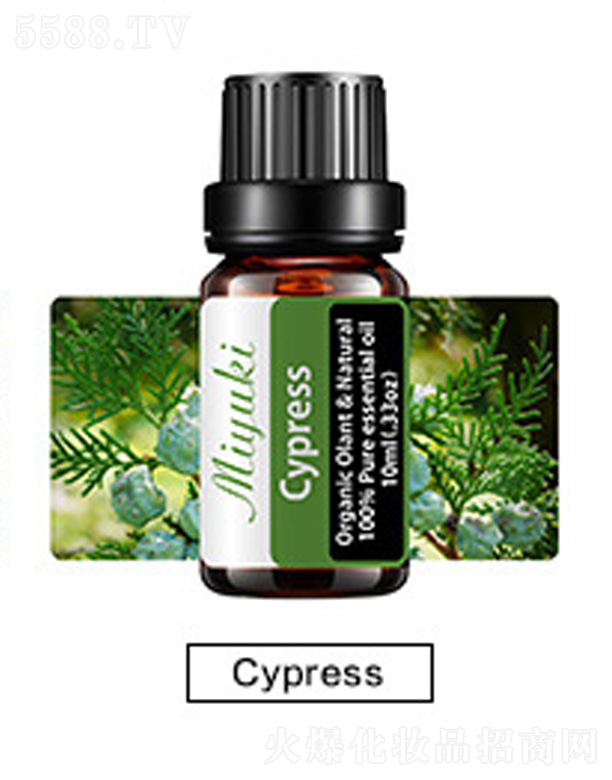 �o(h��)�w��޹��Ħ��-cypress��ľ