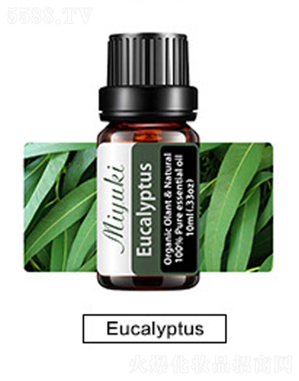 �o�w��޹��Ħ��-Eucalyptus���