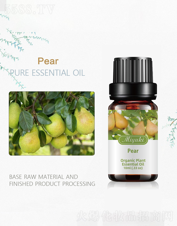 �P���㾫��