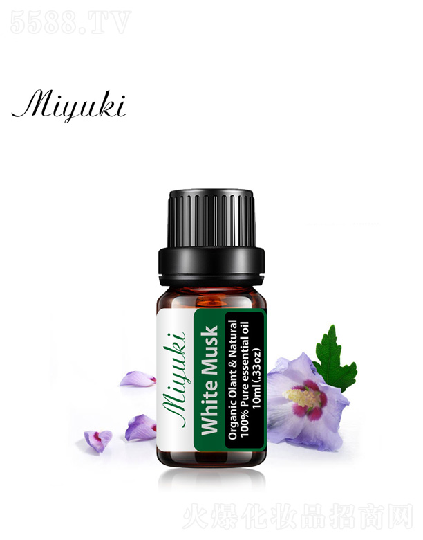 ��������޹��