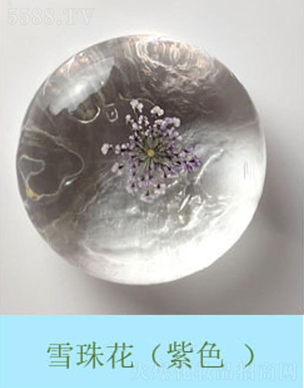 �������r����ѩ�黨����ɫ��