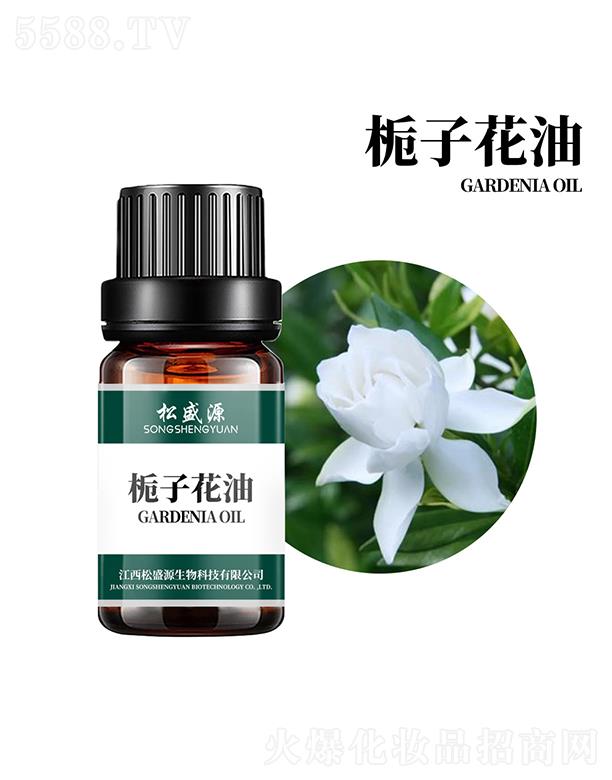 ��ʢԴ�d�ӻ���