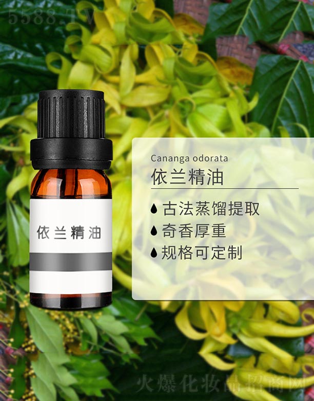 ���m����