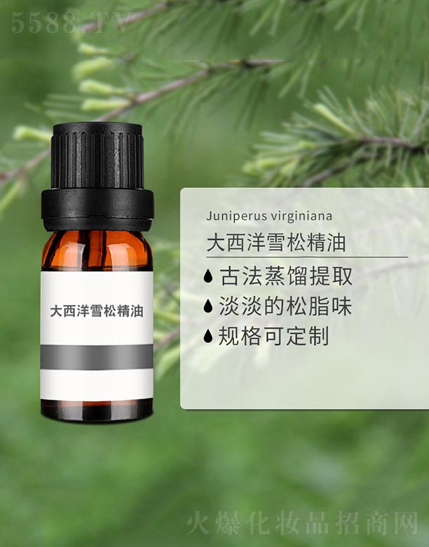 ������ѩ�ɾ���