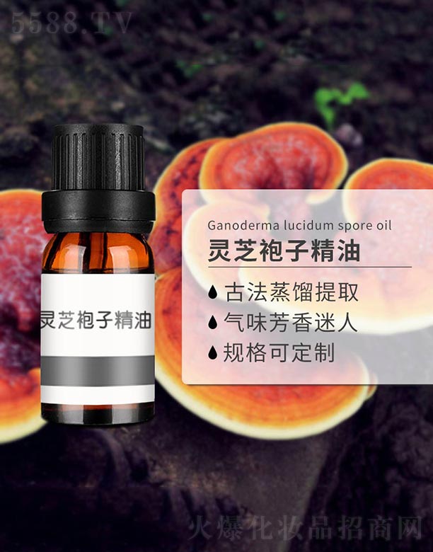 �`֥���Ӿ���