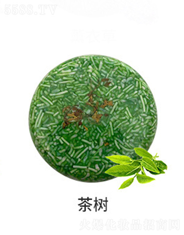 ���(sh��)ֲ��ϴ�l(f��)��