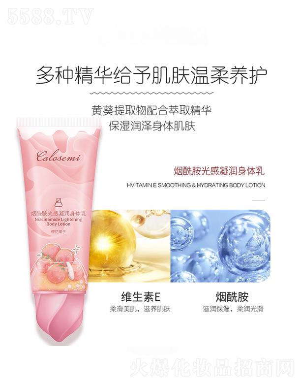 ���_ʥ�۟��������w��