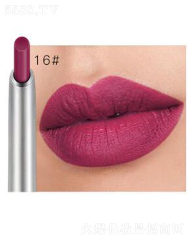 Pudaier���w���ⴽ���P16#