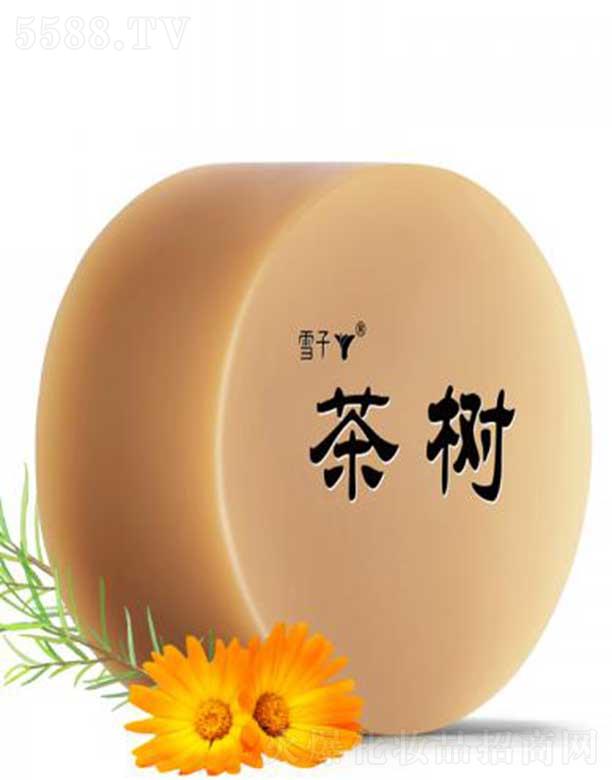 ѩ�Ӳ��(sh��)ˮ����Դ�ֹ���