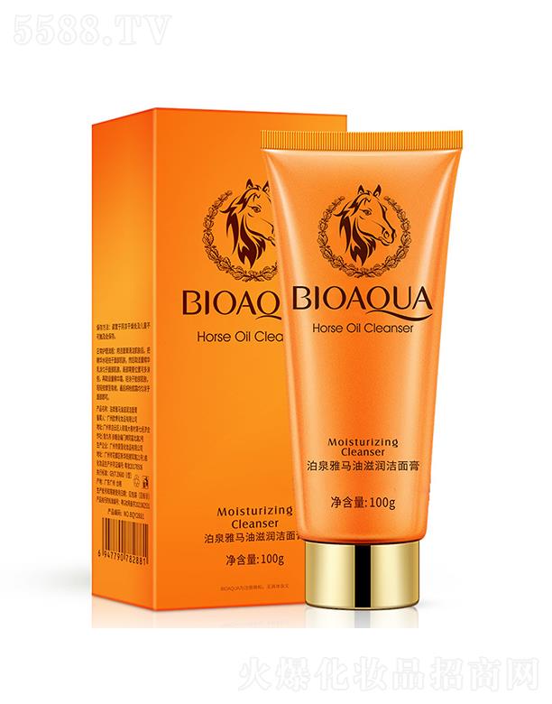 �V���А�(��i)ɏ   ��Ȫ���R���̝�(r��n)�����  ����坍   �տsë��