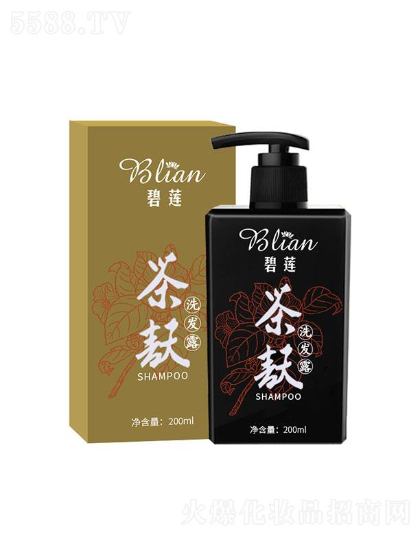 �V�ݱ�ɏ  ��ɏ����ϴ�l(f��)ˮ  ��ˬȥ��   �����^�l(f��)����