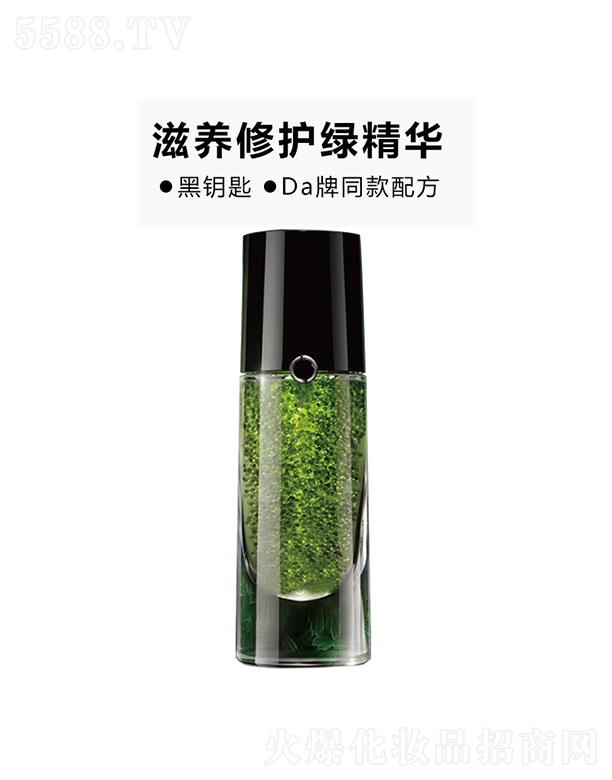 �V���Ќ��{(l��n)   ���{(l��n)��耳׾G���AҺ   �������o   ������