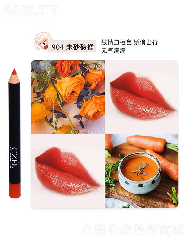 CZEL��˽q�F΢�񴽾��P904��ɰ�u��