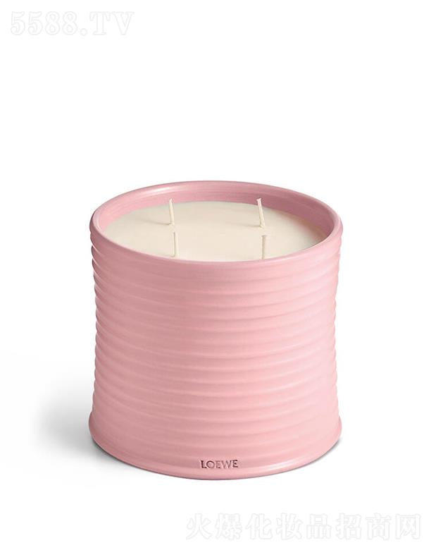 LOEWE��̖(h��o)�������㾫Ϟ�T 100����