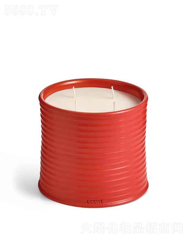 LOEWE��̖(h��o)�����~�㾫Ϟ�T 100����